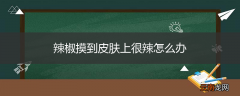 辣椒摸到皮肤上很辣怎么办