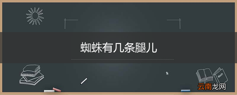 蜘蛛有几条腿儿