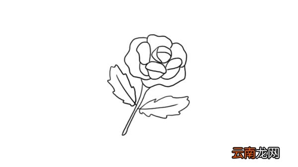 花的简笔画图片大全集 花的画法步骤