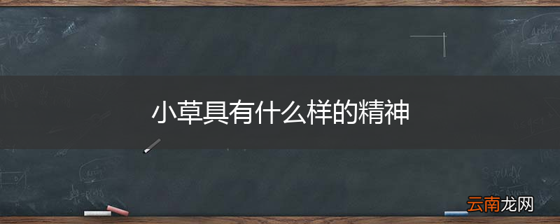 小草具有什么样的精神