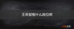 王者都有什么段位啊