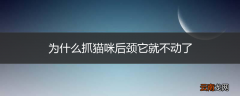 为什么抓猫咪后颈它就不动了
