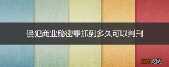 侵犯商业秘密罪抓到多久可以判刑