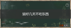 猫好几天不吃东西