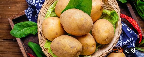 土豆发芽了还能吃吗 哪些食物发芽后不能食用