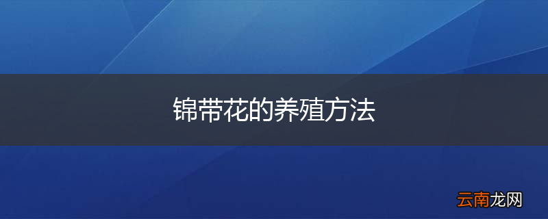 锦带花的养殖方法