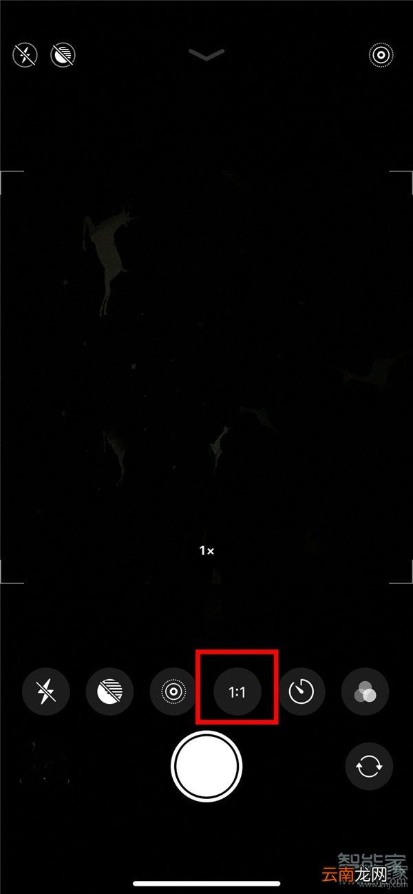 苹果12怎么拍正方形照片