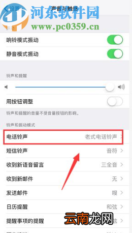 iPhone XR设置来电铃声的方法步骤