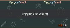 小狗死了怎么复活