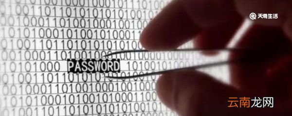 password什么意思 password的意思
