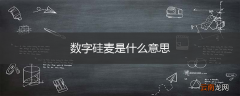 数字硅麦是什么意思