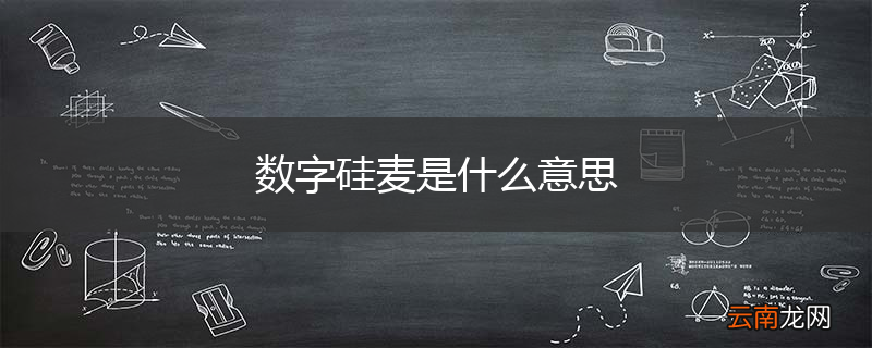 数字硅麦是什么意思