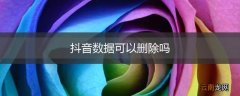 抖音数据可以删除吗