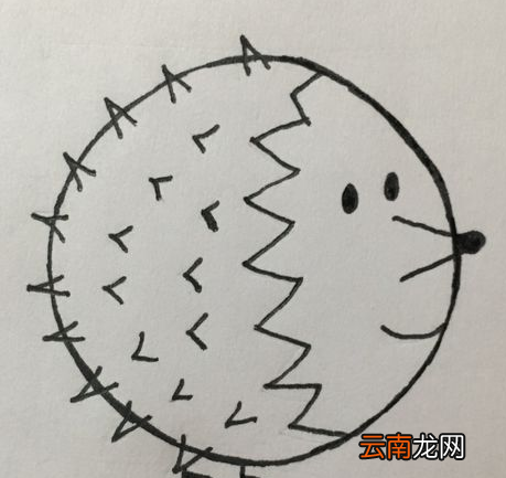 QQ画图红包怎么画刺猬 QQ画图红包刺猬画法一览