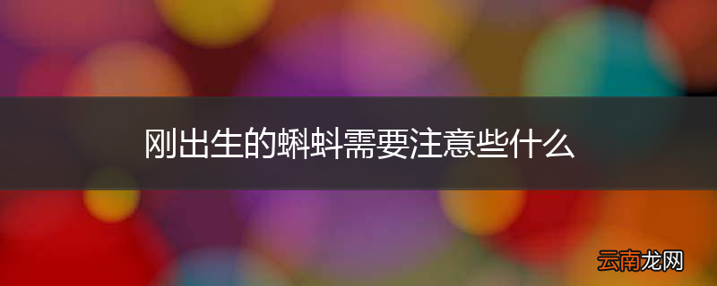 刚出生的蝌蚪需要注意些什么