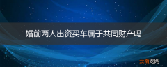 婚前两人出资买车属于共同财产吗