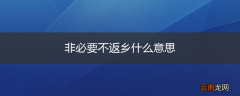 非必要不返乡什么意思
