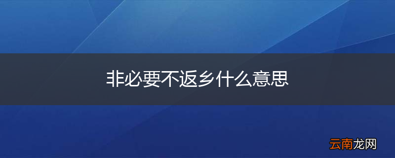 非必要不返乡什么意思