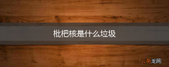 枇杷核是什么垃圾