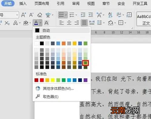 wps字体怎么变颜色