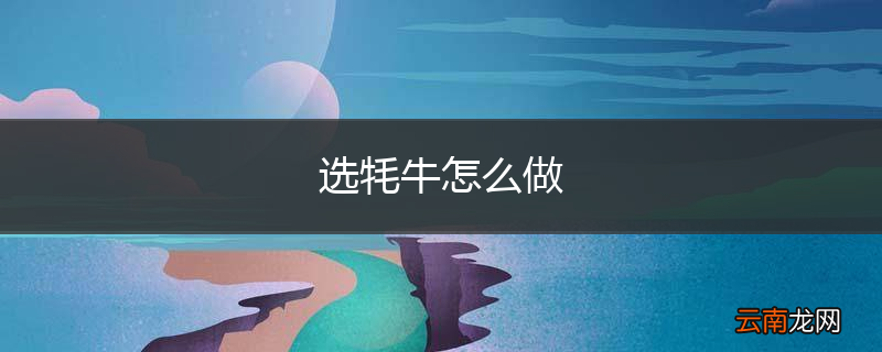 选牦牛怎么做