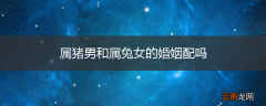 属猪男和属兔女的婚姻配吗