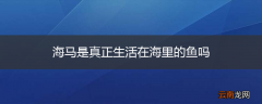 海马是真正生活在海里的鱼吗