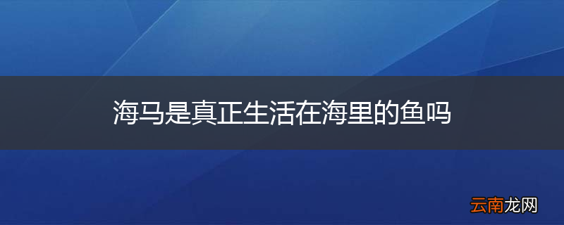 海马是真正生活在海里的鱼吗
