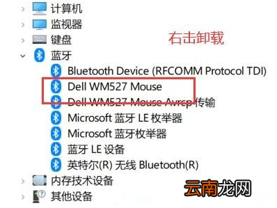 Windows10卸载隐藏蓝牙设备步骤介绍