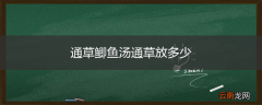 通草鲫鱼汤通草放多少