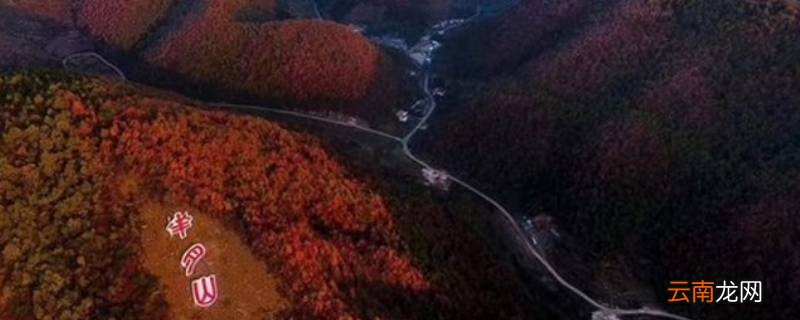 淅川县芈月山在哪个省