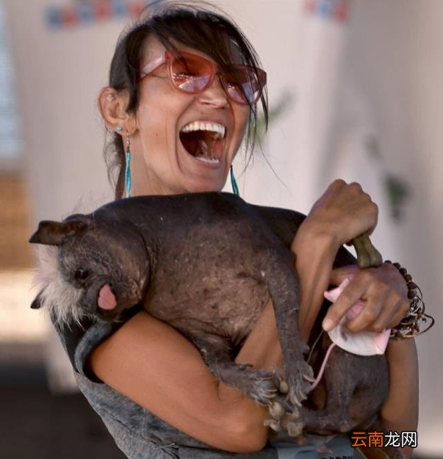图(世界十大最丑的宠物狗 世界十大最丑狗排行榜)