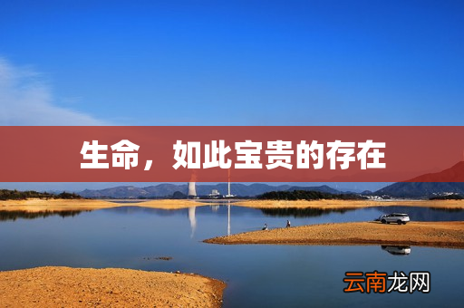 生命，如此宝贵的存在