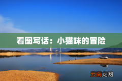 看图写话：小猫咪的冒险