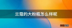 兰蔻的大粉瓶怎么样呢