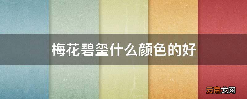 梅花碧玺什么颜色的好