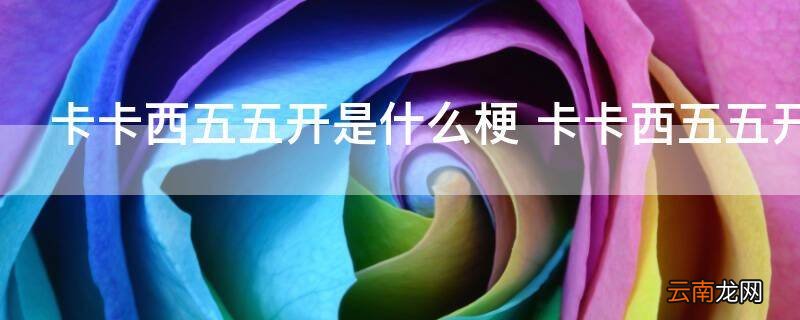 卡卡西五五开是什么梗