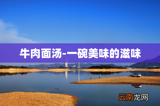 牛肉面汤-一碗美味的滋味