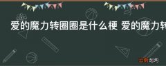爱的魔力转圈圈是什么梗