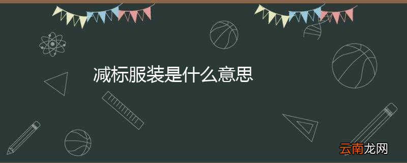 减标服装是什么意思