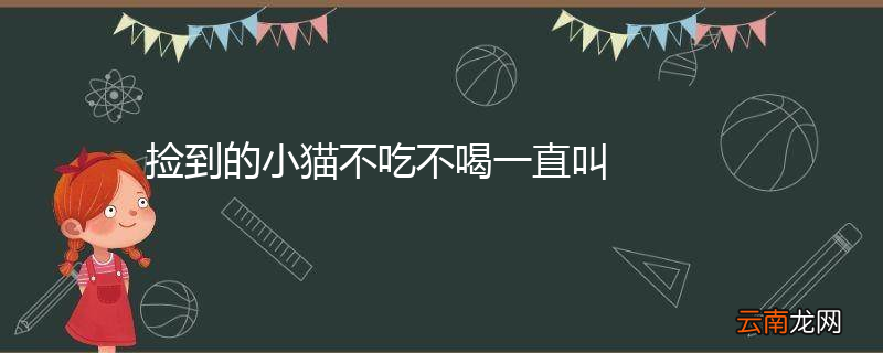捡到的小猫不吃不喝一直叫