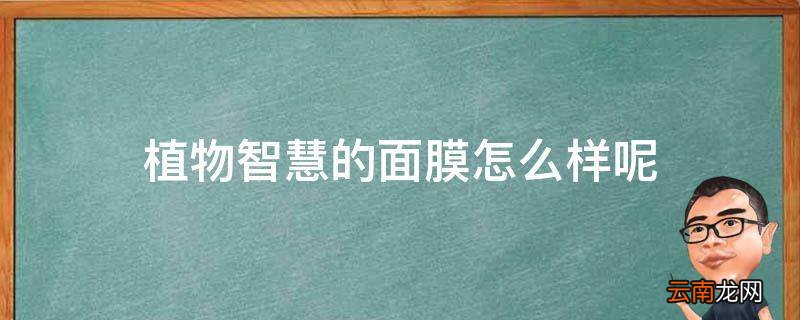 植物智慧的面膜怎么样呢