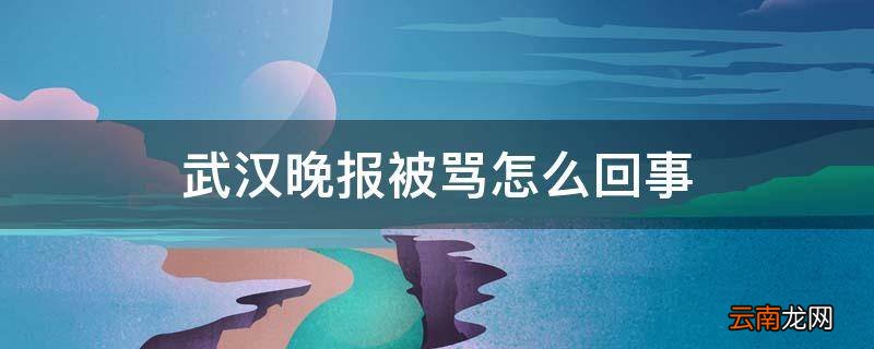 武汉晚报被骂怎么回事