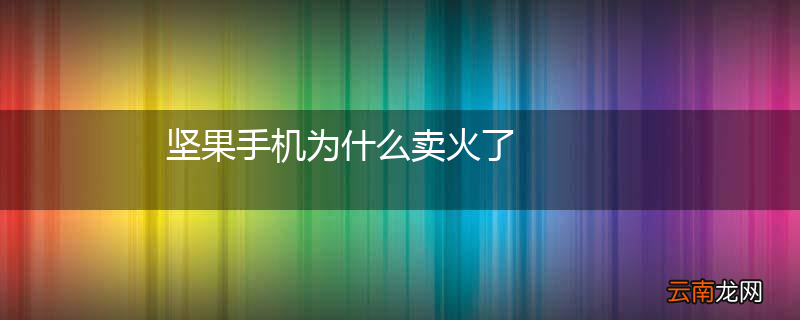 坚果手机为什么卖火了