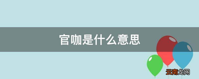 官咖是什么意思