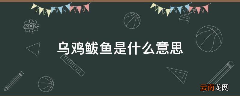 乌鸡鲅鱼是什么意思