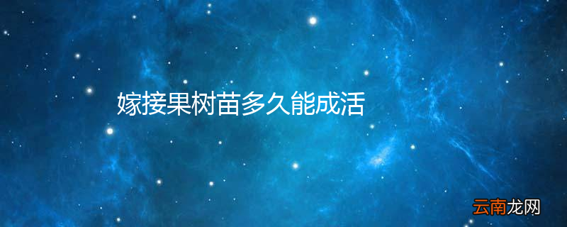 嫁接果树苗多久能成活