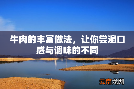 牛肉的丰富做法，让你尝遍口感与调味的不同
