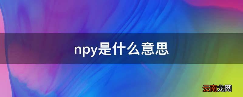 npy是什么意思