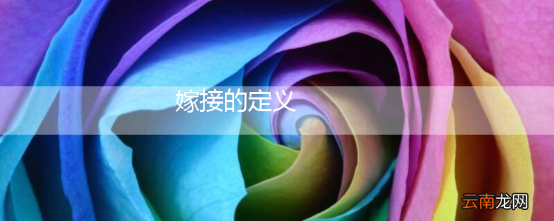 嫁接的定义